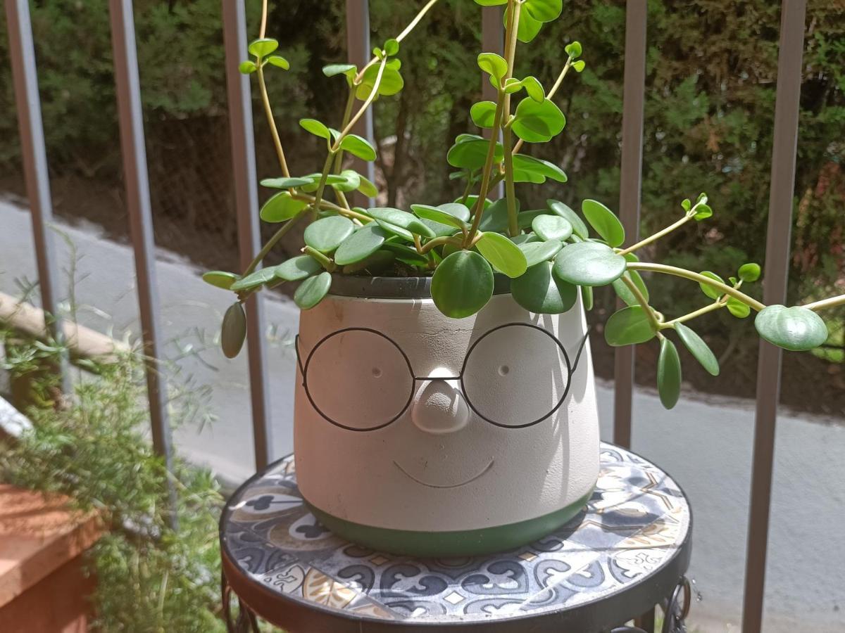 Casa Familiar Con Piscina Hébergement de vacances *
